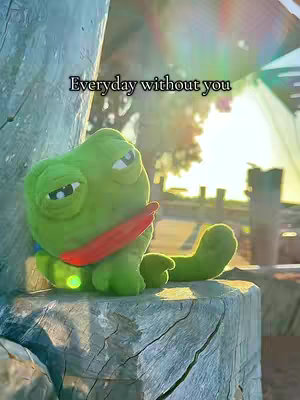 A plush green frog toy with a red scarf is sitting on a wooden surface. The surface is part of a tree trunk. The background has a blurred view of the outdoors. Text overlayed on the image says, "Everyday without you."