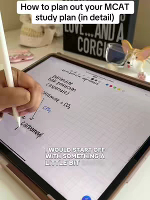 The image shows a hand holding a stylus over an iPad, which displays notes and diagrams with handwriting detailing MCAT study plan. The hand and iPad sit on a white surface, with background elements including a decorative item that says "LOVE...AND A CORGI!" The color palette is simple, with a focus on white, black, and the colors of the notes on the screen. The layout is centered on the iPad, the hand, and their use, suggesting a tutorial or educational content focus.