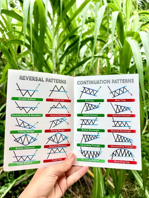 A hand holding open a book with trading patterns diagrams, the background shows an array of vibrant green plants.