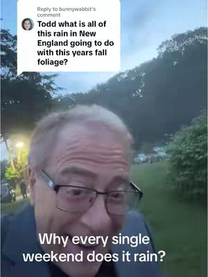 A man with glasses is the main focus, positioned in the center, with visible green foliage and sky in the background. Text overlays appear in the image, including a question from a comment and a thought about the weather.