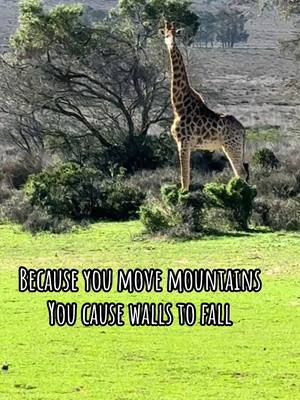 An image of a giraffe standing on a small patch of greenery, with a blurred background of trees and a field. Text at the bottom reads: 'BECAUSE YOU MOVE MOUNTAINS, YOU CAUSE WALLS TO FALL'.