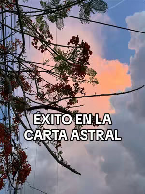 A photo with a cloudy sky background in hues of blue, orange, and pink. Silhouetted tree branches with red flowers are in the foreground. White text overlay reads 'ÉXITO EN LA CARTA ASTRAL'.