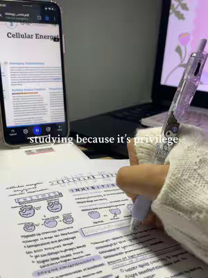 The image shows a person's hand holding a pen over a study sheet, with a laptop and phone displaying educational content in the background. The phone is propped up on a stand, and the study sheet is filled with notes and diagrams. The text overlayed on the image reads 'studying because it's privilege.' The overall composition suggests a scene of studying.