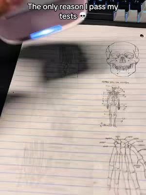 A photo where the camera is angled down towards a sheet of lined paper. The top left corner shows a pink object with a blue light. On the right side of the image, there's a pencil sketch illustration of a skull, and below that, more anatomical drawings. A shadow from the pink object casts over the drawings.