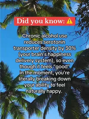 A vibrant cover image set against a bright blue sky background. In the foreground, lush green palm fronds frame the edges, providing a tropical feel. Centered at the top is a red rectangular box with the text overlay 'Did you know:!' including a yellow exclamation point symbol, drawing the eye inward. Below this, neatly arranged white text detailing the effects of alcohol use on serotonin levels and brain function is legible and informative, set against the visually appealing backdrop of the palm trees and sky.