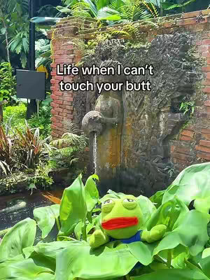 A serene outdoor scene with a stone fountain featuring a sculpted figure is shown. Water flows from a spout held by the figure, and a stuffed frog sits among the green foliage and water plants, with a text overlay.