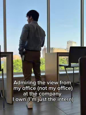 The cover image shows a person from behind, standing in front of a large window with a view of a city. The person is wearing a button-down shirt and brown pants. Below the image is text with a humorous message.