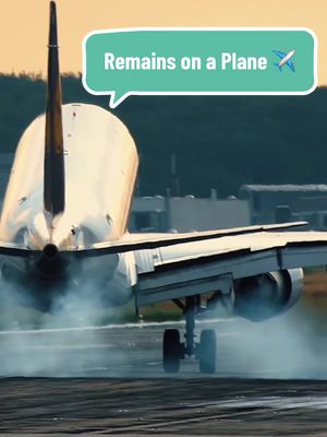 The image shows a close-up of a commercial airplane landing. The plane is the main focus, appearing at the bottom-center of frame, its landing gear just touching down on the runway. Billowing white smoke billows out from the tires. A text overlay in a speech bubble reads, 'Remains on a Plane'.