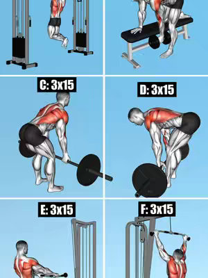 A split-screen image showing illustrations of different back exercises with the details of C: 3x15, D: 3x15, E: 3x15, and F: 3x15 written.