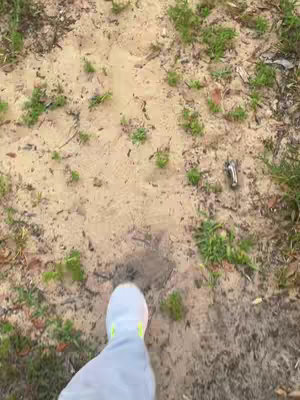 The image shows a top-down view of a sandy, earthy ground with sparse patches of green vegetation. A person's foot, clad in a light gray shoe with a neon green accent, is visible in the lower center, mid-step as if walking forward. The ground textures include variations in sand color, small pebbles, and a glinting object near the foliage.