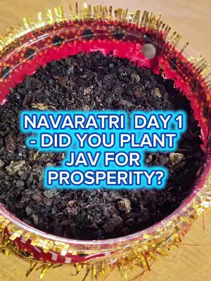 The image features a close-up view of a round container filled with dark soil, with a decorative red and gold rim. Overlaid on the soil is a text overlay with the words \
NAVARATRI DAY 1 - DID YOU PLANT JAV FOR PROSPERITY?\
 in a bright aqua font with a white outline. This conveys an inspirational message about Navratri.