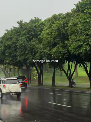 A rainy day scene shows a wet street with traffic. Cars are visible, and the road shows reflections of lights. Green trees and foliage line the street offering a lush backdrop to the city scene.