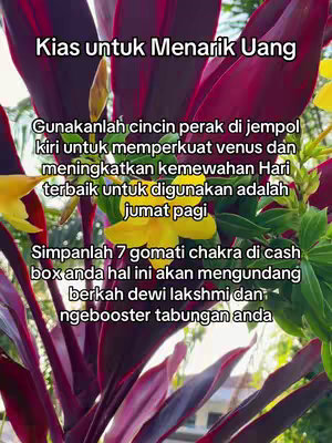The cover image shows a close-up of a plant with dark red leaves and a few yellow flowers interspersed. Text overlays in a casual font provide information and instructions.