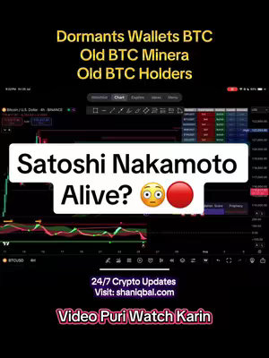 The cover image has a dark background with various textual elements and a chart of a cryptocurrency. In the upper section, it features white and gold overlaid texts: 'Dormants Wallets BTC', 'Old BTC Minera', and 'Old BTC Holders.' A white rectangle with rounded edges in the center states 'Satoshi Nakamoto Alive?' with emojis. Below this, a chart display with green and red lines is visible. At the bottom, two lines of white text are placed: '24/7 Crypto Updates Visit: shaniqbal.com' followed by pink text: 'Video Puri Watch Karin.'