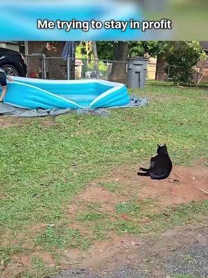 A comedic image showing an inflatable pool taking up most of the frame on a grassy lawn. A person is partially visible by the pool, and a black cat sits nearby, observing. The text overlay reads 'Me trying to stay in profit'.