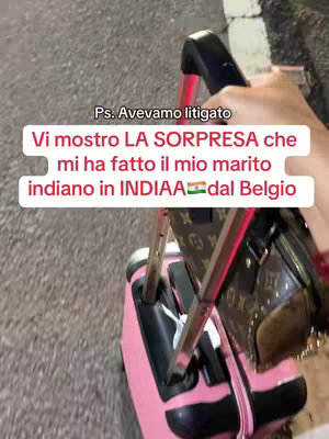 The image shows a person's hand holding a pink suitcase and a brown purse with the background being the sidewalk. An overlay on the image in white text reveals the reason and the content within the video.