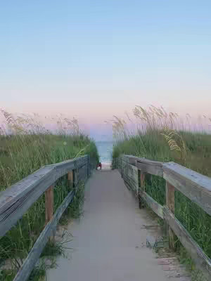 An image of a wooden boardwalk leading towards a beach. On both sides of the boardwalk are tall green grasses. The sky is a gradient of blue and pink.