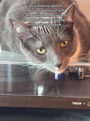 The image shows a grey cat lying on top of a black record player. The cat's head is in the center, with its green eyes looking at the camera. Text is overlaid on the image, appearing above the cat's head.