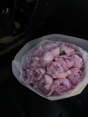 A bouquet of pink peonies wrapped in white paper, presented against a dark, possibly interior, background. The text overlay reads 'if TAURUS were a flower'.
