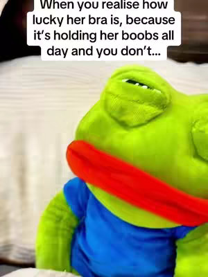 The cover image features a plush frog toy, predominantly green with white accents that look like a bedsheet in the background. The frog has a blue shirt and a red band across its mouth. Text is overlaid at the top, written in black.