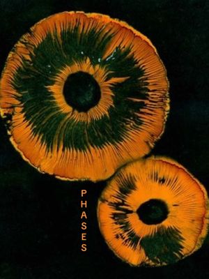 An abstract image featuring two circular shapes resembling mushrooms or fungi against a dark background. The image is dominated by orange and green colors. The upper circle is larger, with a darker green center that spirals outwards, framed by orange. The lower circle, smaller in size, mirrors the color scheme. Text is overlaid vertically using orange color.