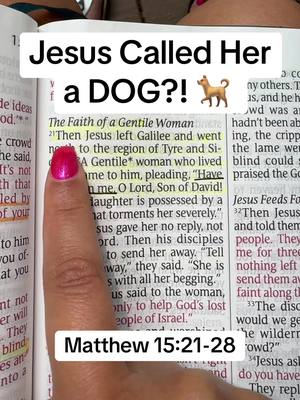 The image shows an open book with text highlighted in yellow and a finger pointing at it. A text box overlay displays the phrase, "Jesus Called Her a DOG?!" along with a dog emoji over the image of the Bible text. A second text box states the verse reference "Matthew 15:21-28".