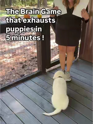 The cover image is vertically oriented. It shows a woman with blonde hair, wearing a short black dress, standing on a wooden deck or porch. She is holding two white sheets of paper. A white puppy stands on the deck in front of her, looking towards her feet. In the background is a wooden fence, and the scene is set outdoors, with visible foliage. The text overlay is white and bold, positioned at the top of the image.