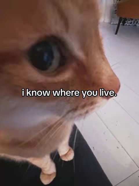 A close-up shot of an orange tabby cat's face, with the eye in the center. Text overlayed at the bottom says, "i know where you live."