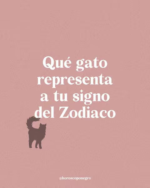 The image has a light pink background. In the center, there is large text in white, asking the question: "Qué gato representa a tu signo del Zodíaco" (What cat represents your Zodiac sign). Below the text is a silhouette of a cat facing left. Along the bottom, there is a smaller white text with the username.