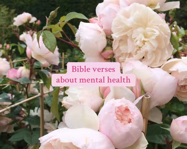 A close-up shot of pale pink roses with a soft, blurred background of foliage. A light pink rectangle overlays the image, containing the text 'Bible verses about mental health' in a simple sans-serif font.