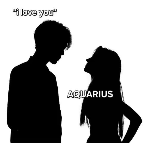 A black and white image featuring two silhouetted figures against a white background. On the left is a figure of a person with his head bowed down, and to the right a woman with long hair, looking upwards. The text overlay "I love you" is at the top and the word AQUARIUS is centered.