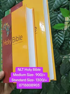 The cover image features three books, presumably Bibles, with the title 'Holy Bible' prominently displayed on the front. The books are primarily yellow and red, the top edges of the pages are white. The layout highlights the text and pricing information.
