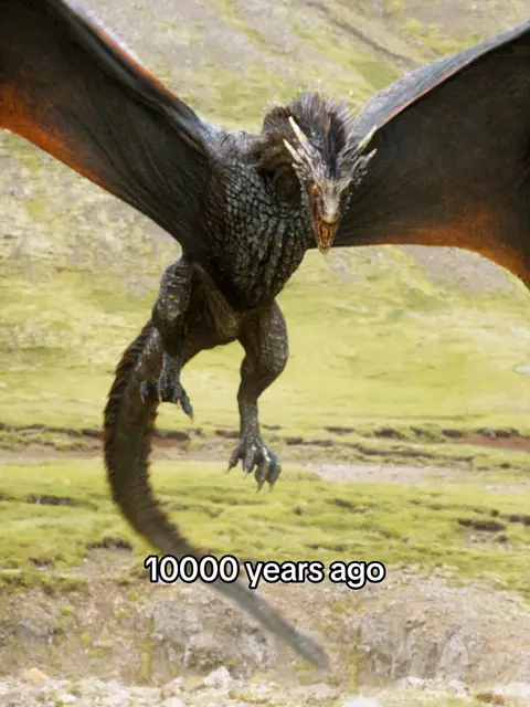 A dragon with dark scales is captured in flight, wings spread to reveal bright orange undersides. The dragon faces the viewer with an open mouth, as if roaring. The background is a blurred green field with hints of brown.