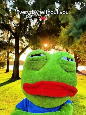 The cover image features a plush frog toy as the central focus, set against a backdrop of a sunny outdoor scene. The frog, in a close-up view, has large, slightly downturned eyes, giving it a sad or contemplative expression. It is situated in front of a background composed of lush green grass, trees, and a glimpse of a body of water, possibly a lake or pond. The lighting suggests either sunrise or sunset, as the sun's glow casts a warm hue over the scene. The text overlay "Everyday without you" with a heart graphic is positioned near the top adding a layer of emotional context.