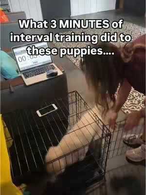The image shows a woman on the right side reaching into crate with a puppy inside. A laptop with a timer is on the left side along with a smart phone.