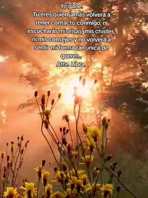 The image features a warm, golden hour scene with a blurred background of trees and sunlight. In the foreground, delicate yellow flowers with thin stalks are visible, adding a touch of nature. Overlayed text in white is positioned in the upper half, providing a personal message, while the signature with "Atte. Libra" is placed at the bottom. The composition is simple, with the natural elements contrasted against the text to convey the intended message.