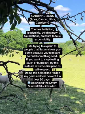 A vertical image of a green field with trees and sheep. Text overlays provide astrology information. The sky is blue with tree branches framing the top of the image.