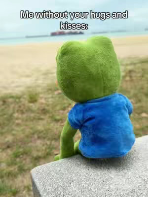The cover image shows a green stuffed frog sitting on a stone surface, facing away from the camera. The frog is wearing a blue shirt and facing out towards a sandy beach and ocean in the background. Text overlaid on the image reads, "Me without your hugs and kisses:"