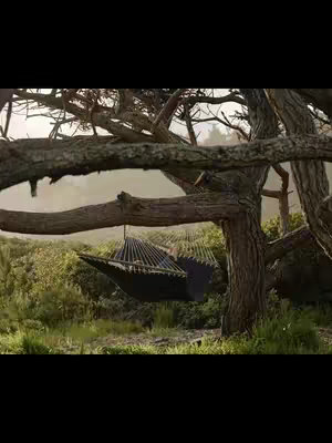 A tranquil scene in a wooded area. A black hammock hangs suspended between the branches of a large tree, bathed in soft sunlight. The background features lush green foliage and the sky is slightly hazy.