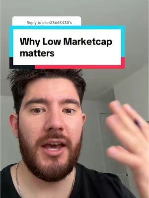 A man with a beard and dark hair is looking at the camera and talking, with a text overlay on the top of the head. The text overlay is a rectangle with the text 'Why Low Marketcap matters'. This video is likely about finance.