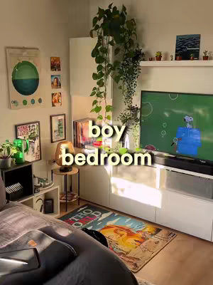 The image shows a cozy bedroom interior bathed in natural light. The room features a bed with a dark grey headboard and what seems to be a patterned rug in front of it. There's a large TV mounted on a white cabinet. Houseplants add a touch of nature, and there's a collection of art and decor on the walls, including framed prints, artwork, and small plants. The words 'boy bedroom' are added as a textual overlay in the center of the image.