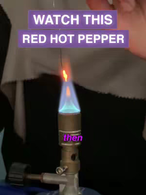 A close-up shot of a chemistry experiment in progress. A burner is lit, with a blue and orange flame. Above the burner, a small object (possibly a pepper) is being held with a wire. The background is dark, with a person's hand holding the object. Overlaid text in purple boxes reads "WATCH THIS" and "RED HOT PEPPER".
