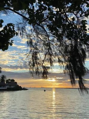 A serene landscape at sunset. The scene features a vast body of water, with the sun setting on the horizon, casting a golden glow across the sky. Silhouetted against the sunset are trees and foliage, adding depth and framing the view. The composition creates a tranquil and picturesque atmosphere.