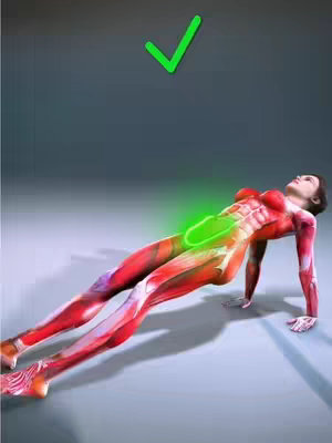 A 3D anatomical rendering depicts a person in a reverse plank position. The body is partially transparent, revealing muscular structures with red and pink tones, and highlighting a green, oval area on the core region. A green checkmark floats above the figure, and the background is a gradient of grays.