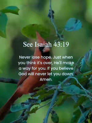 An image featuring a vibrant red cardinal perched on a branch amidst lush green foliage. Text overlays provide a scriptural quote and motivational message.