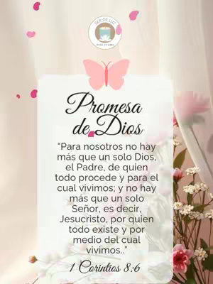 The cover image is designed with a soft, pastel aesthetic, featuring a central, soft-white rectangular shape overlaid with text and imagery. The words "Promesa de Dios" (Promise of God) are elegantly scripted in a dark, flowing font. Below this text is a Bible verse. The backdrop is a blurred, light-colored background, accented with pink flower details and petal-like shapes, creating a sense of peace and spirituality. The composition includes a pink butterfly over the title, balanced by floral elements and highlights, suggesting themes of faith and inspiration.
