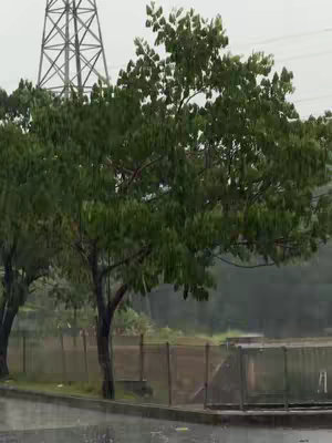 The cover image shows a landscape scene in rainy weather. In the foreground, there are trees with lush green foliage. Behind the trees, a metal fence is visible along with some sort of structure. In the background, a high-voltage transmission tower stands tall, and the sky is overcast, with visible raindrops.