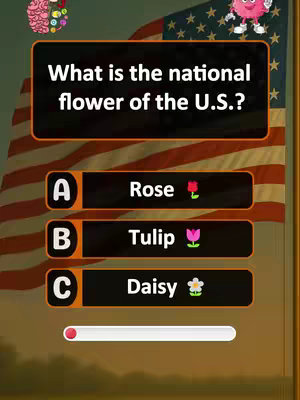 The cover image displays a quiz question about the national flower of the U.S. The background features an American flag, with a quiz question and three answer choices in boxes. A progress bar is at the bottom.