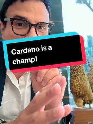Close-up shot of a man with glasses and a white shirt, gesturing with his hands. A text overlay reading "Cardano is a champ!" is prominently displayed, set against a black background with blue and red accents. The background includes a glimpse of an open window and an out-of-focus gold-colored object.