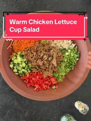 A top-down shot displays a colorful salad arranged in a dark bowl. The salad is segmented into sections: shredded carrots, chopped cucumbers, diced red bell peppers, and leafy green lettuce. A dark brown, shredded ingredient, likely chicken, sits in the center. Text overlaid in a red box reads 'Warm Chicken Lettuce Cup Salad'. The background is a dark, textured surface.